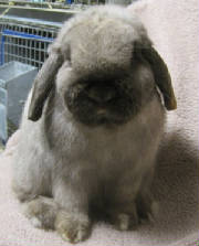 barney046.jpg