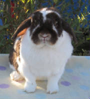 missy040.jpg