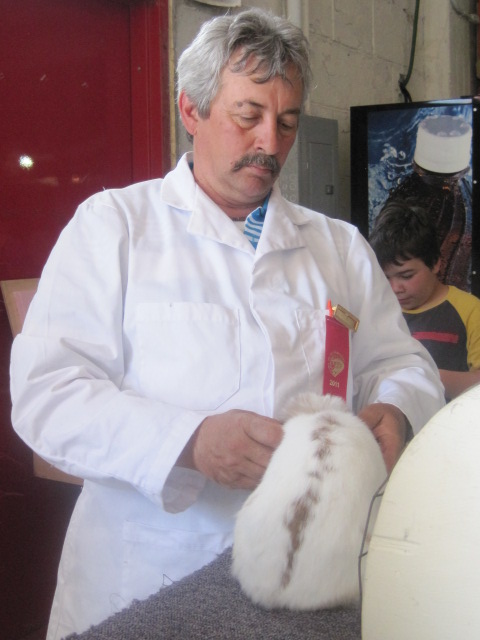 show030.jpg